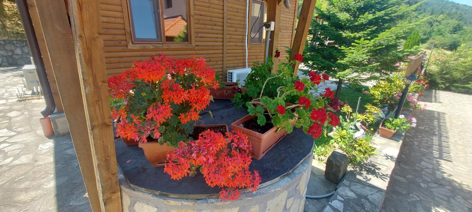Mini Complex Rilski Terasi Sapareva Banya Exterior foto